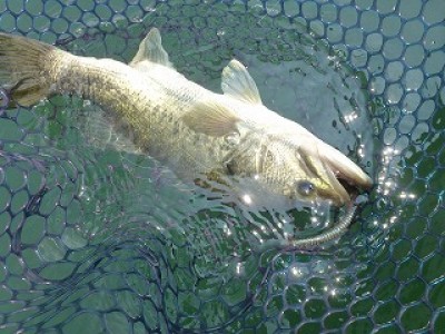 truth news ブログ写真 2012/07/27