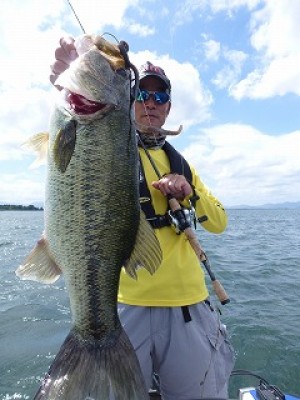 truth news ブログ写真 2012/08/03