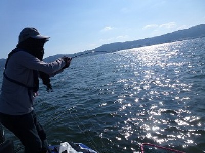 truth news ブログ写真 2012/08/03