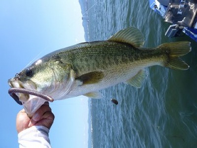 truth news ブログ写真 2012/08/03