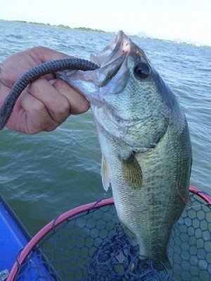 truth news ブログ写真 2012/08/03