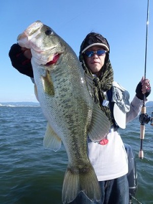 truth news ブログ写真 2012/08/03