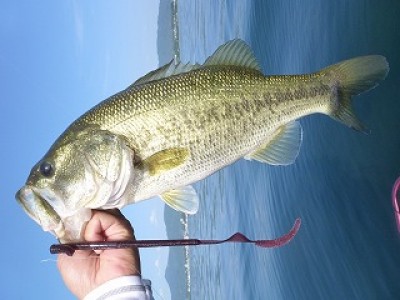 truth news ブログ写真 2012/08/03