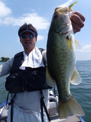 truth news ブログ写真 2012/08/03