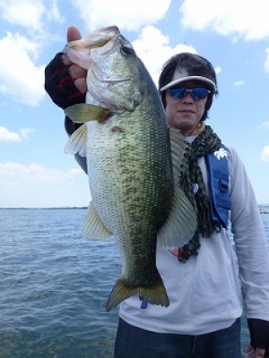 truth news ブログ写真 2012/08/03