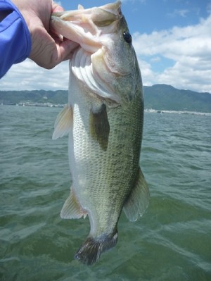 truth news ブログ写真 2012/08/04