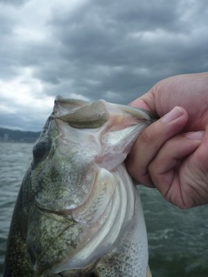 truth news ブログ写真 2012/08/04