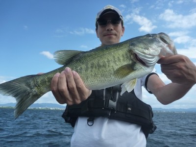 truth news ブログ写真 2012/08/04