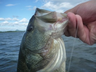 truth news ブログ写真 2012/08/04