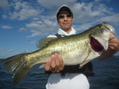 truth news ブログ写真 2012/08/04