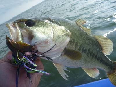 truth news ブログ写真 2012/08/04