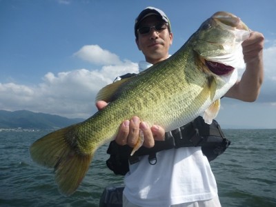 truth news ブログ写真 2012/08/04