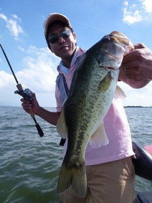 truth news ブログ写真 2012/08/05