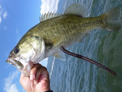 truth news ブログ写真 2012/08/05