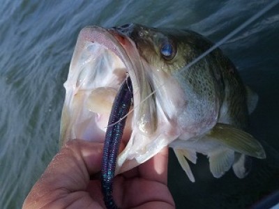 truth news ブログ写真 2012/08/05