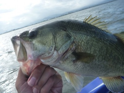 truth news ブログ写真 2012/08/05