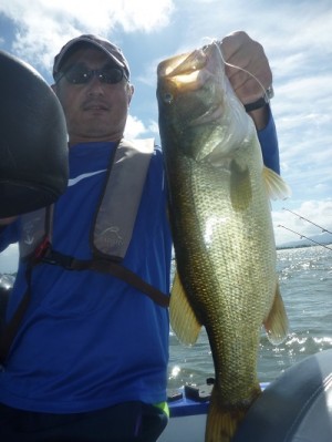 truth news ブログ写真 2012/08/05