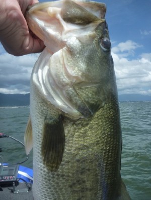 truth news ブログ写真 2012/08/05