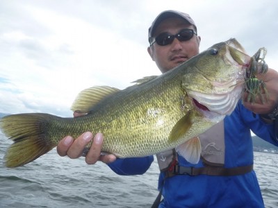 truth news ブログ写真 2012/08/05