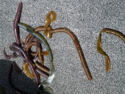 truth news ブログ写真 2012/08/07