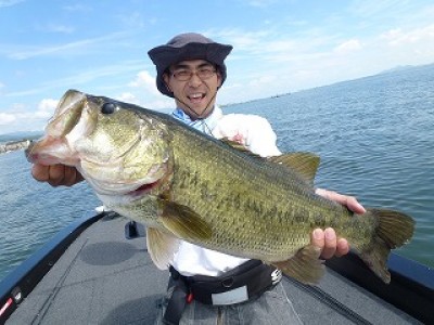 truth news ブログ写真 2012/08/07