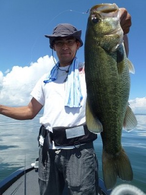 truth news ブログ写真 2012/08/07