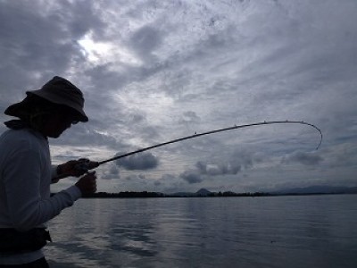 truth news ブログ写真 2012/08/07