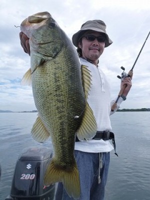 truth news ブログ写真 2012/08/07