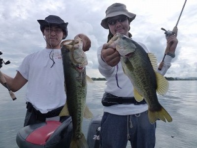 truth news ブログ写真 2012/08/07