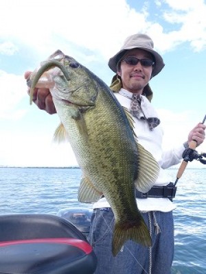 truth news ブログ写真 2012/08/07