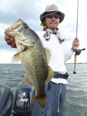 truth news ブログ写真 2012/08/07