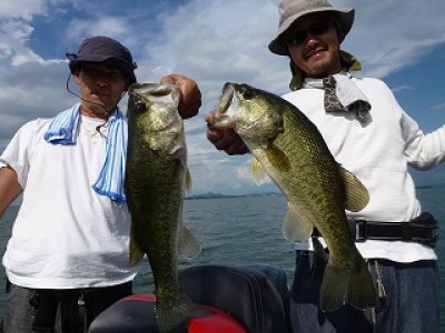 truth news ブログ写真 2012/08/07