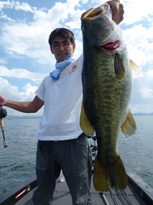 truth news ブログ写真 2012/08/07