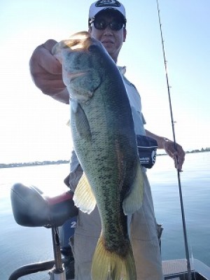 truth news ブログ写真 2012/08/08