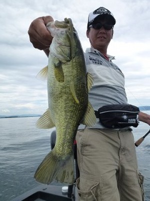 truth news ブログ写真 2012/08/08