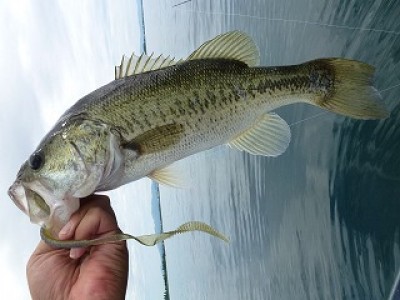 truth news ブログ写真 2012/08/08