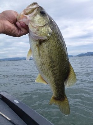 truth news ブログ写真 2012/08/08