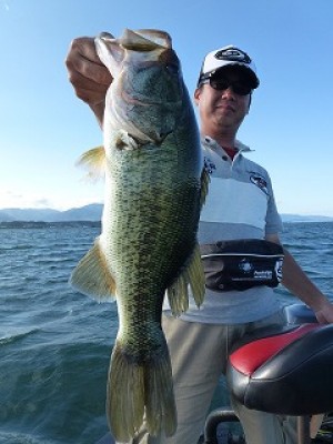 truth news ブログ写真 2012/08/08