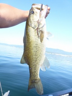 truth news ブログ写真 2012/08/08