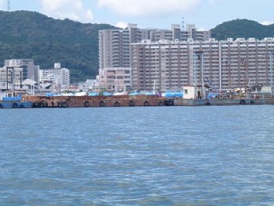 truth news ブログ写真 2012/08/08