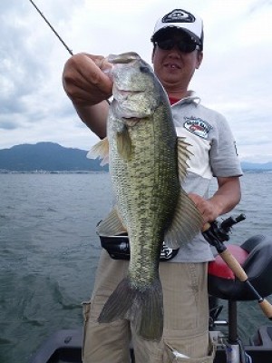 truth news ブログ写真 2012/08/08