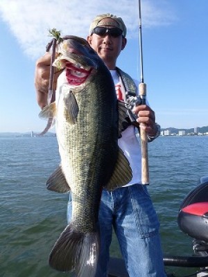 truth news ブログ写真 2012/08/09