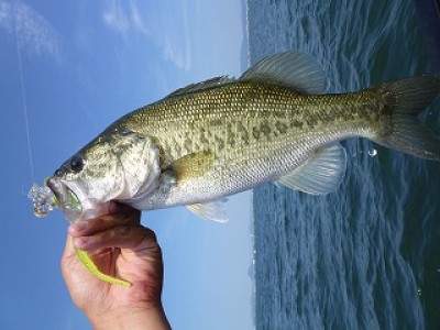 truth news ブログ写真 2012/08/09