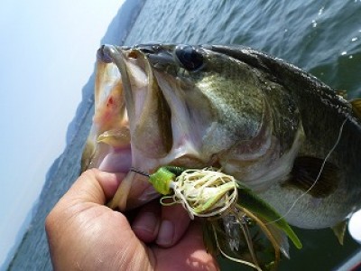 truth news ブログ写真 2012/08/09