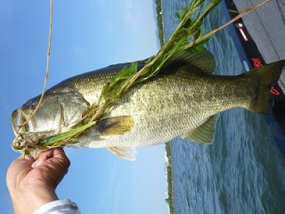 truth news ブログ写真 2012/08/09