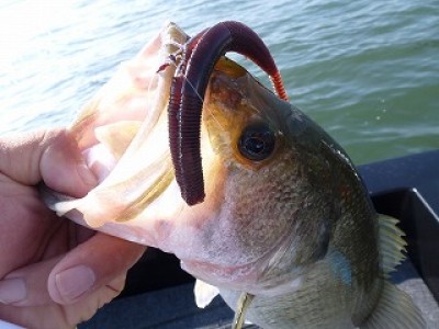 truth news ブログ写真 2012/08/09