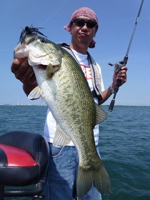 truth news ブログ写真 2012/08/09