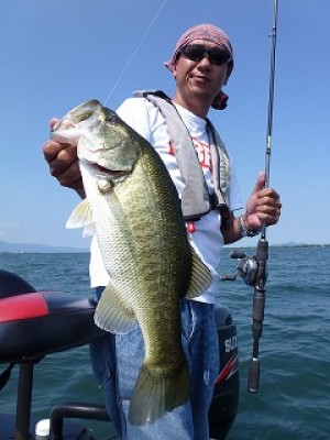 truth news ブログ写真 2012/08/09