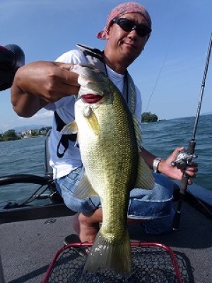 truth news ブログ写真 2012/08/09