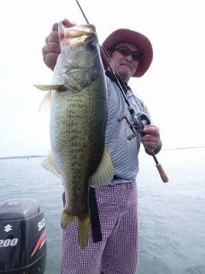 truth news ブログ写真 2012/08/10